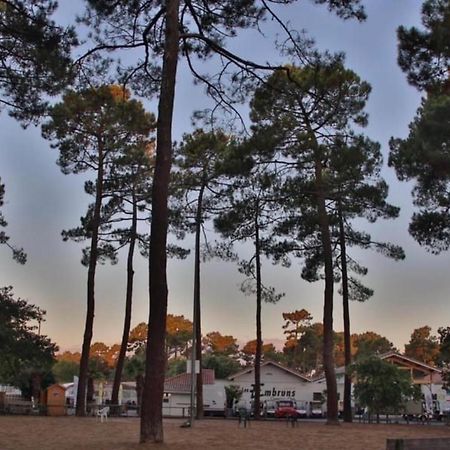 A La Brise Du Ferret Hotel Lège-Cap-Ferret Kültér fotó