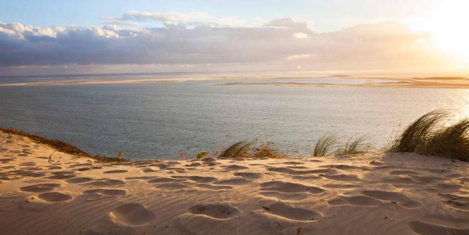 A La Brise Du Ferret Hotel Lège-Cap-Ferret Kültér fotó