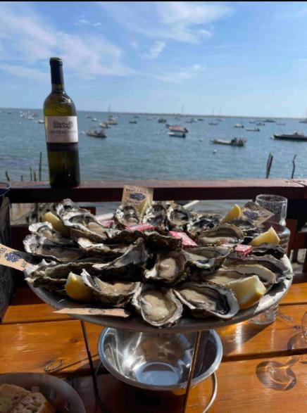 A La Brise Du Ferret Hotel Lège-Cap-Ferret Kültér fotó
