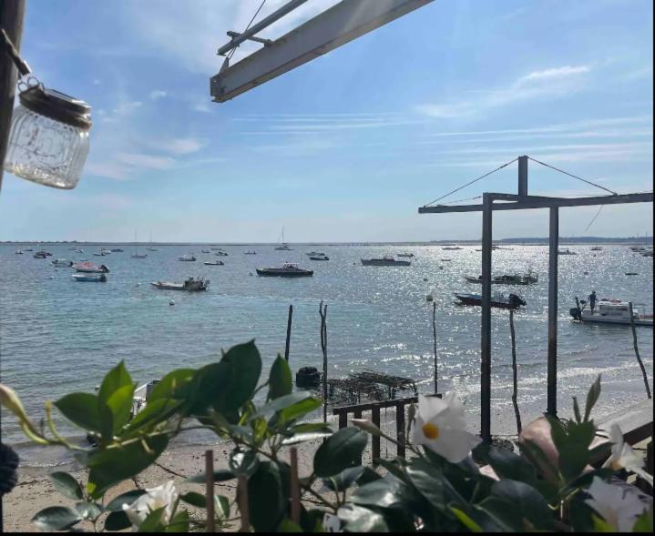 A La Brise Du Ferret Hotel Lège-Cap-Ferret Kültér fotó