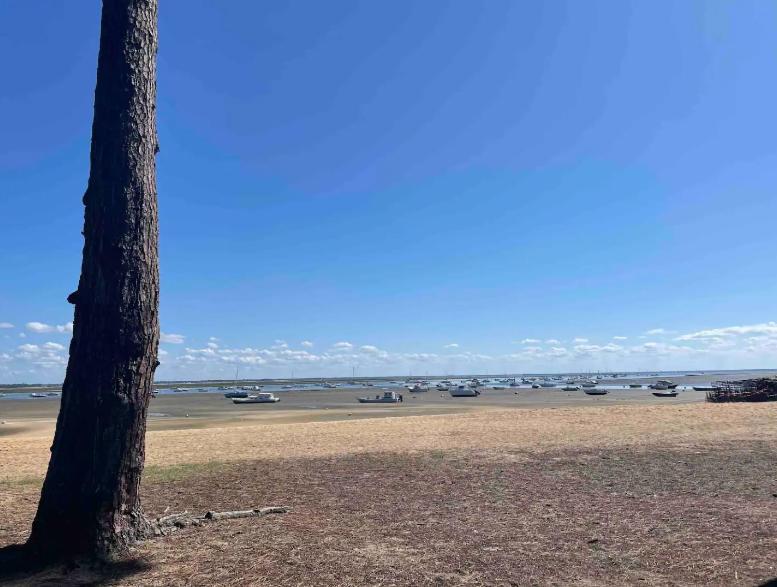 A La Brise Du Ferret Hotel Lège-Cap-Ferret Kültér fotó